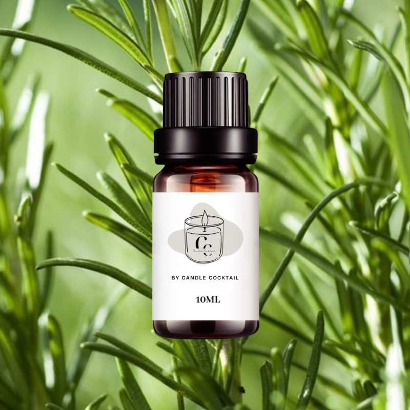 Duftöl | Rosmarin | 10 ML | Candle Cocktail® | #76