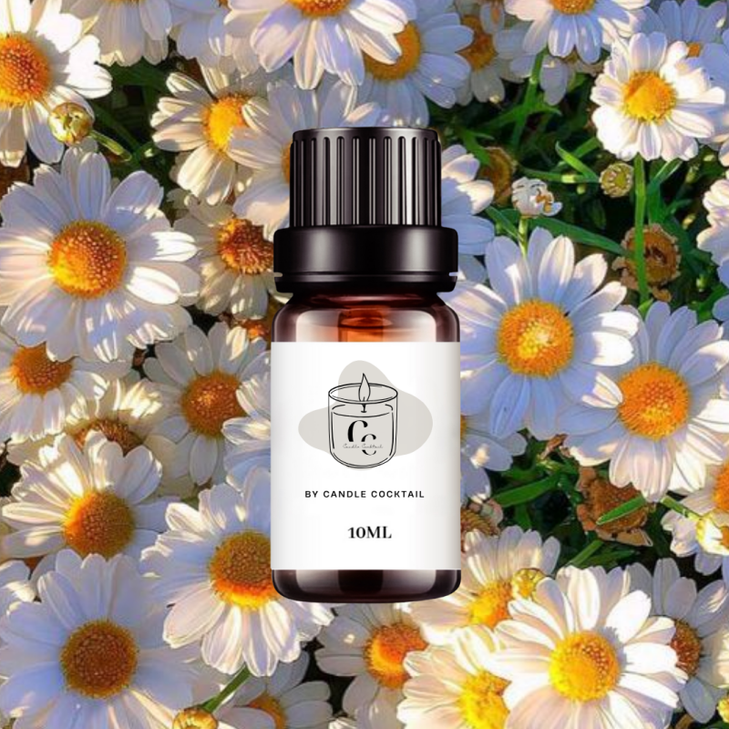 Duftöl | Gänseblümchen | 10 ML | Candle Cocktail® | #72