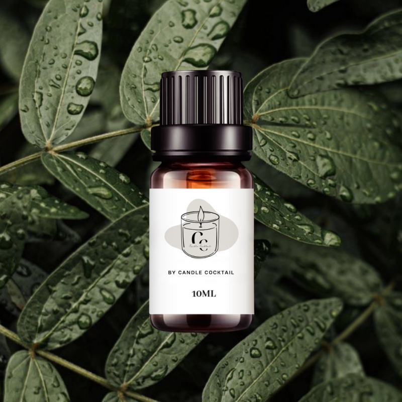 Duftöl | Olivenblatt & Meersalz | 10 ML | Candle Cocktail® | #47
