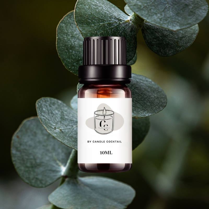 Duftöl | Eucalyptus | 10 ML | Candle Cocktail® | #100